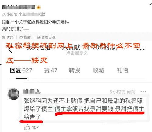 景甜网上爆料视频,幕后故事与真实情感大公开  第2张
